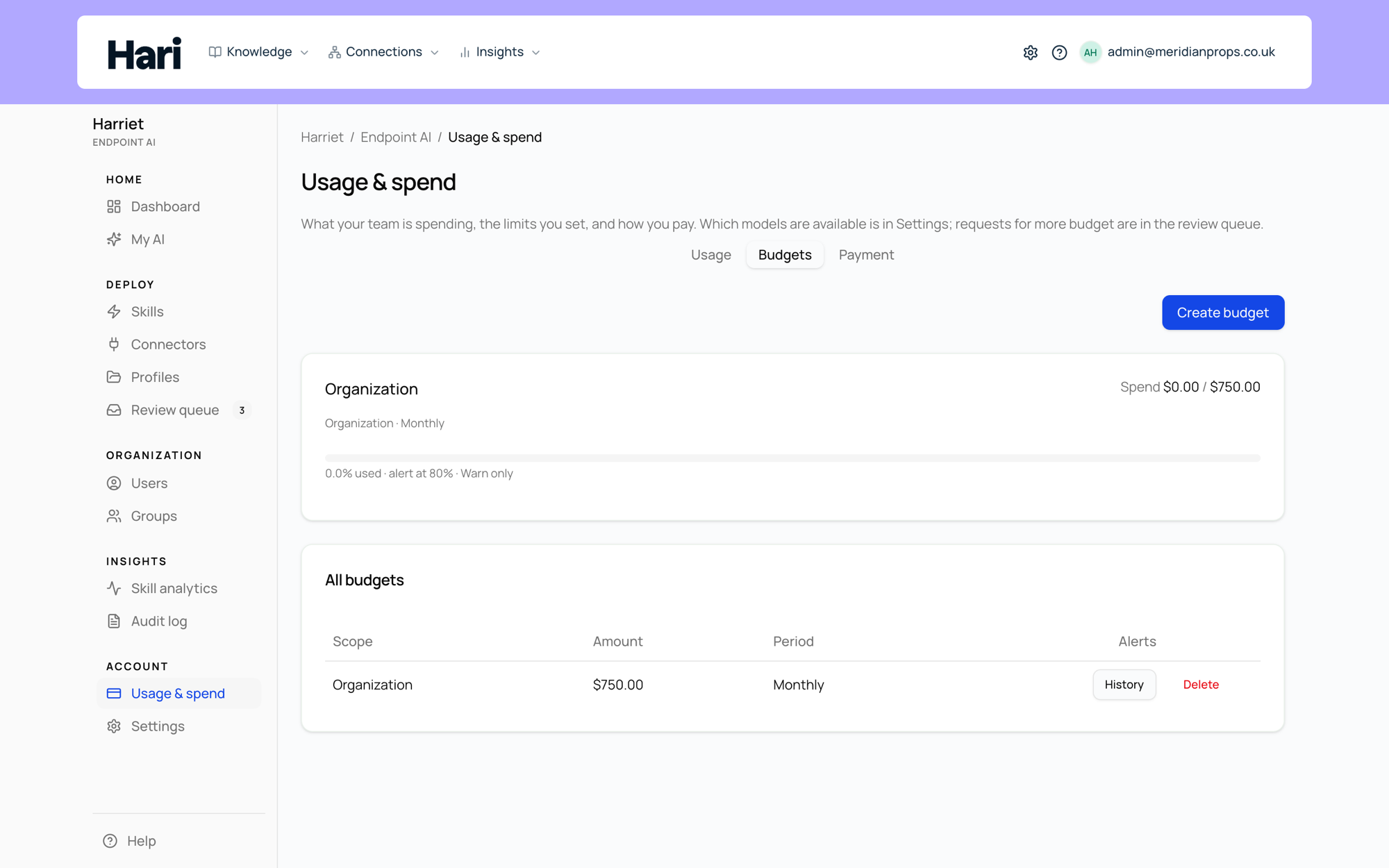 The Budgets tab with an organization-wide monthly budget